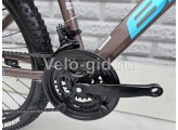Велосипед Bitix 24 Коричневый